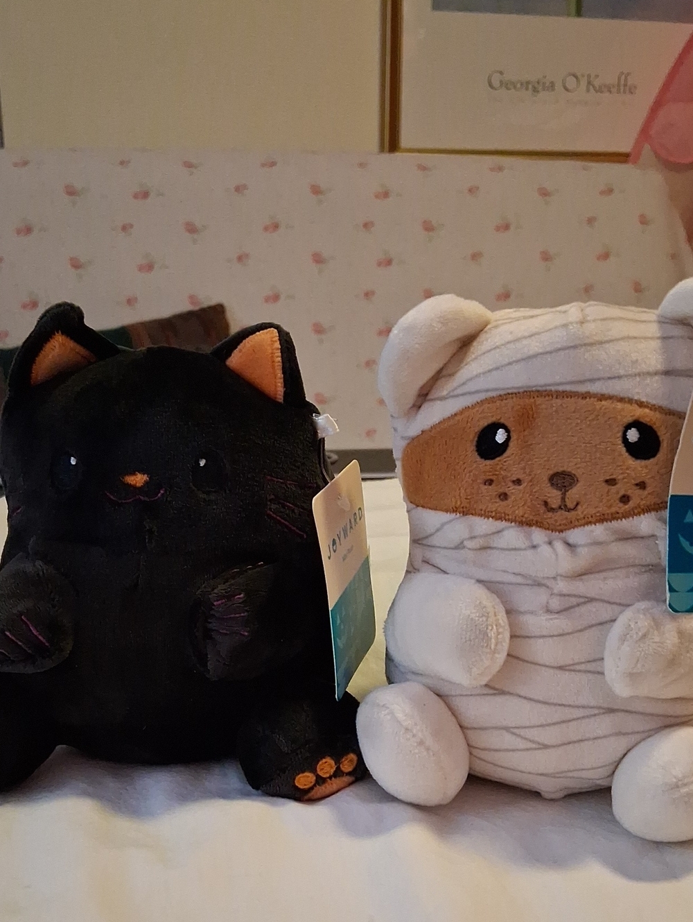 2 Plush Toys - Black Plush Cat And a Mini Mummy Plush Puppy.